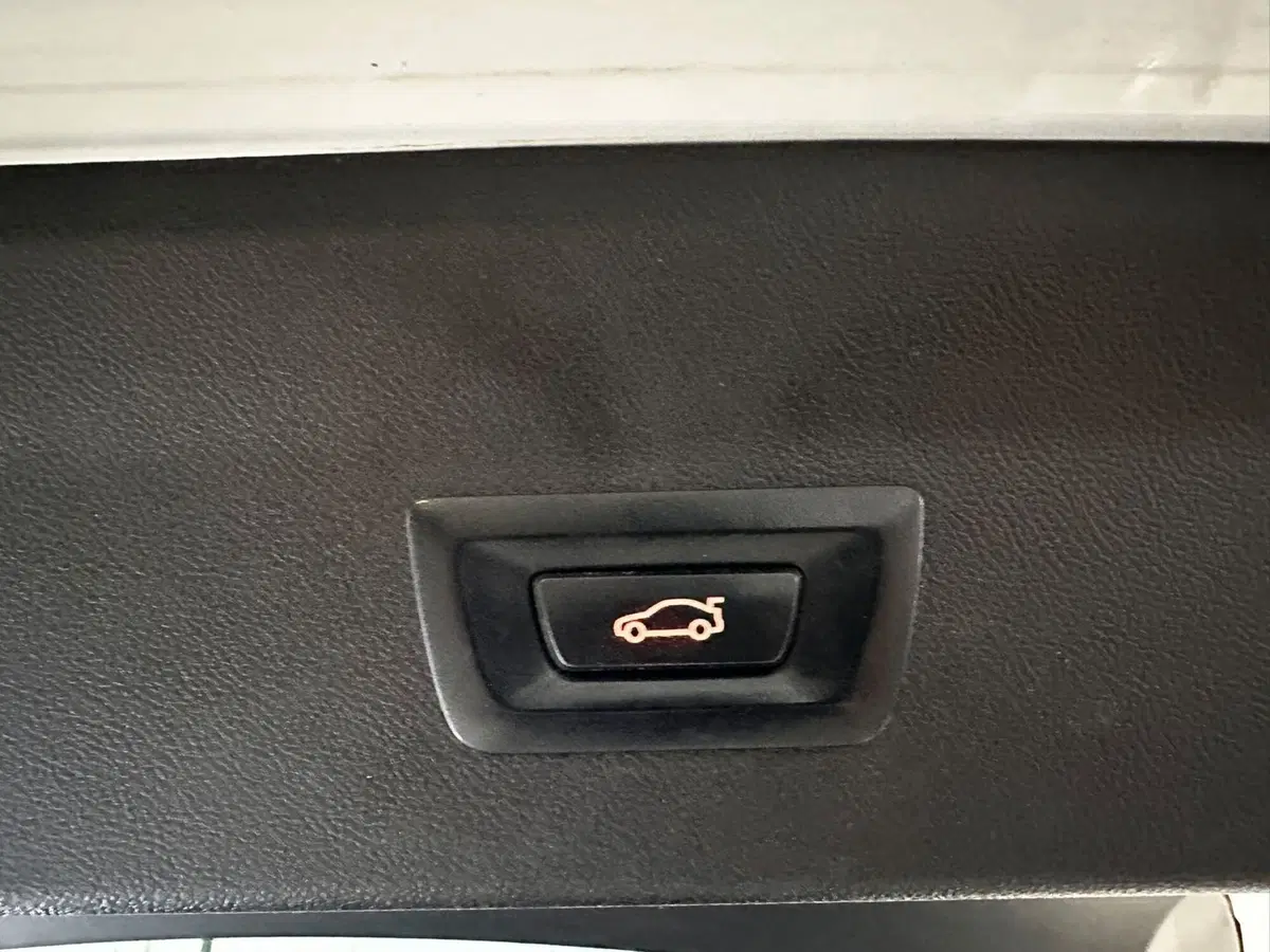 BMW X4 usata a Cuneo (19)