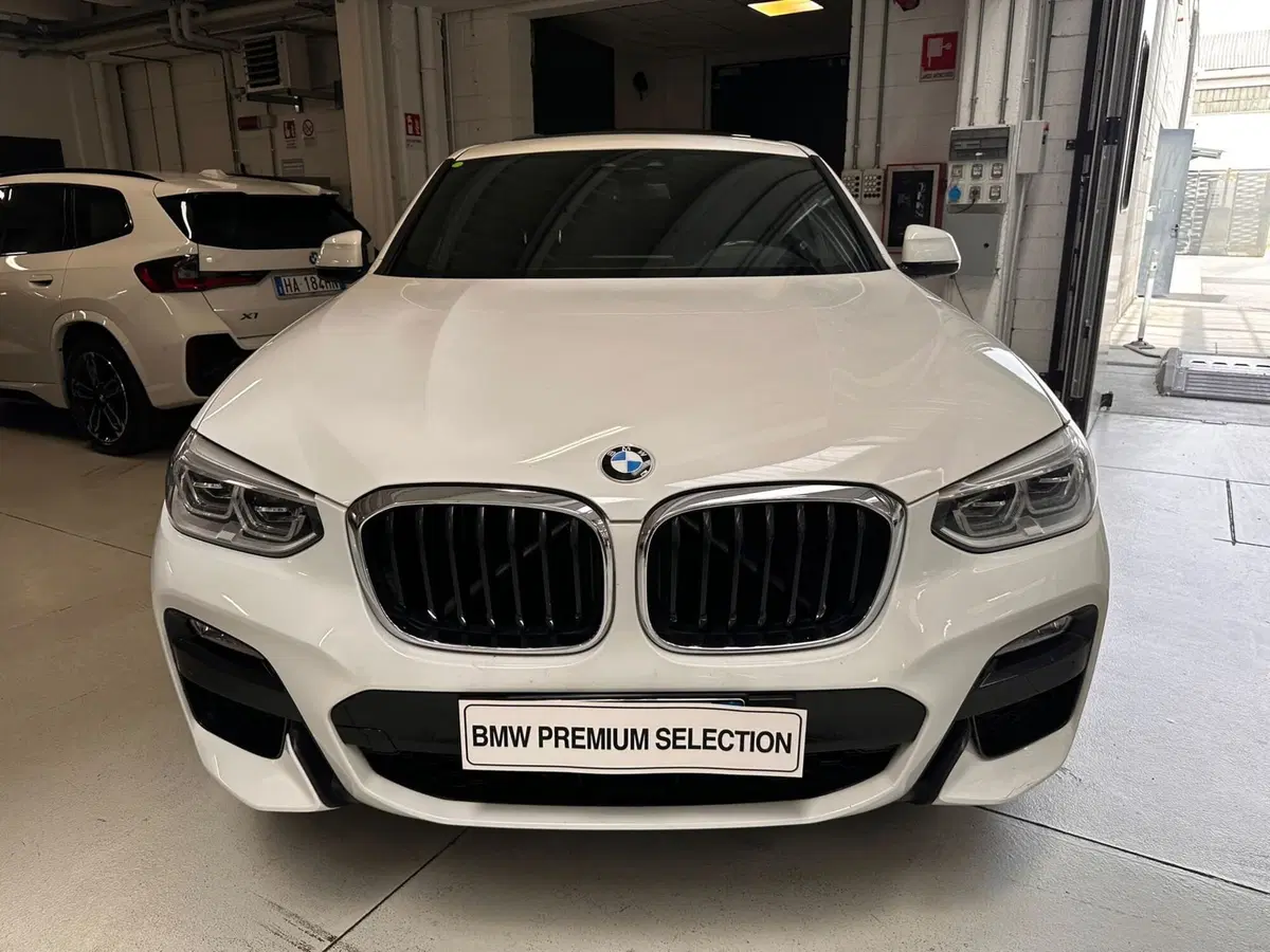 BMW X4 usata a Cuneo (3)