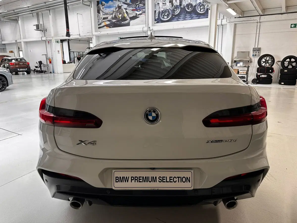 BMW X4 usata a Cuneo (4)