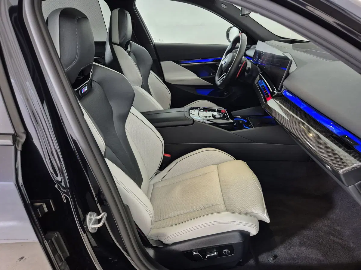 BMW Serie 5 usata a Torino (10)
