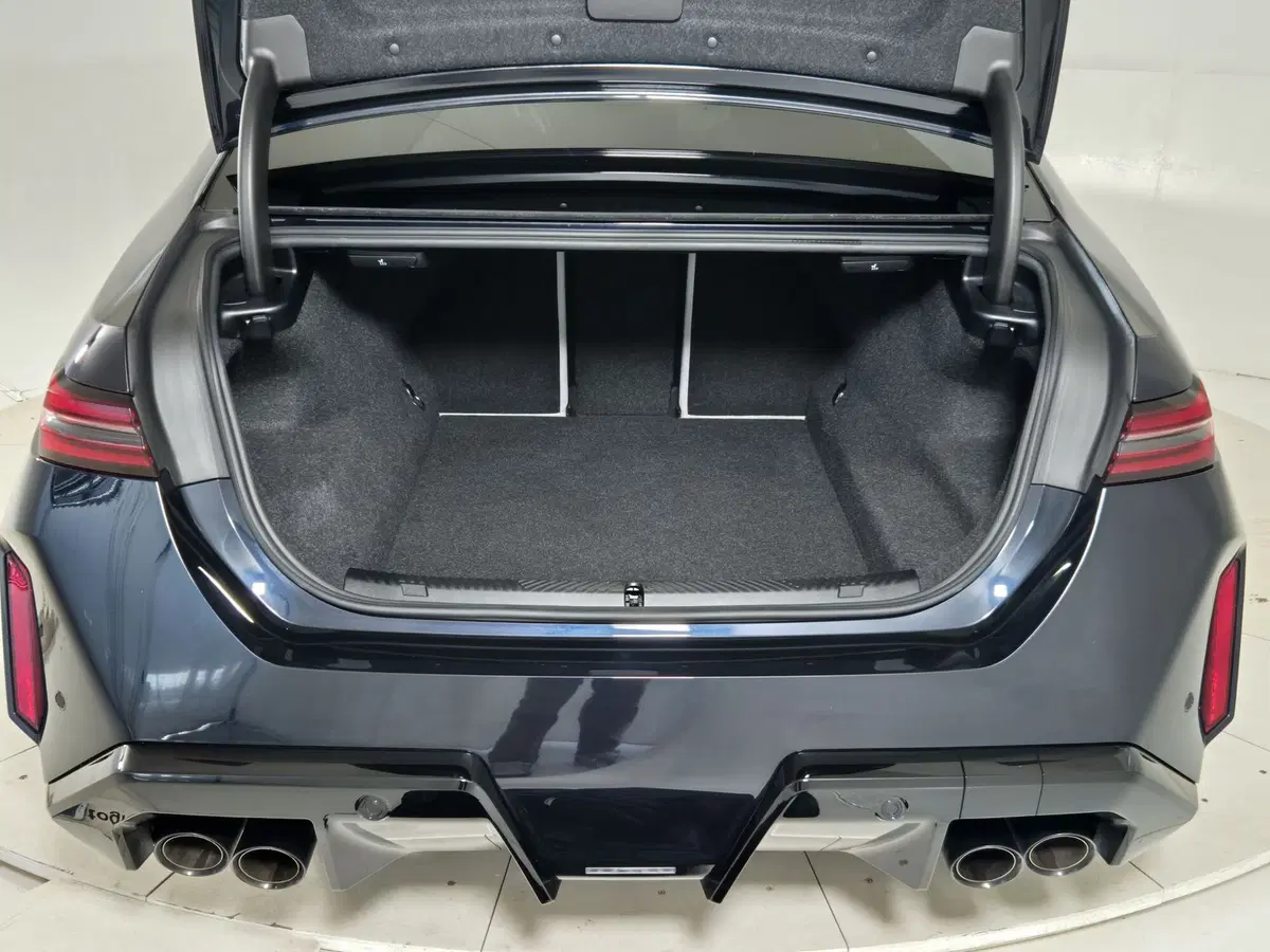 BMW Serie 5 usata a Torino (13)