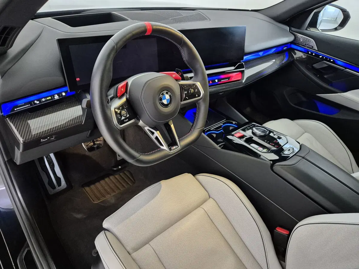 BMW Serie 5 usata a Torino (7)