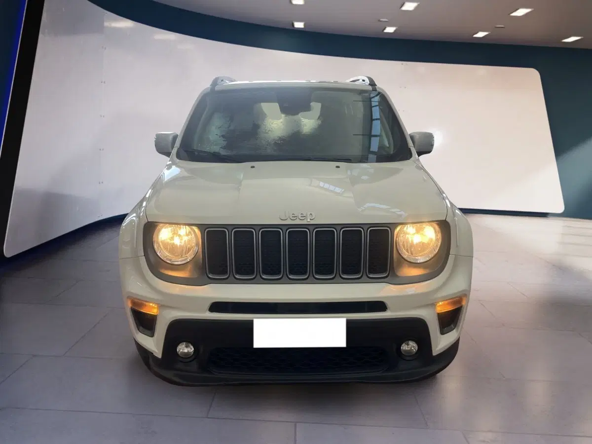 Jeep Renegade usata a Torino