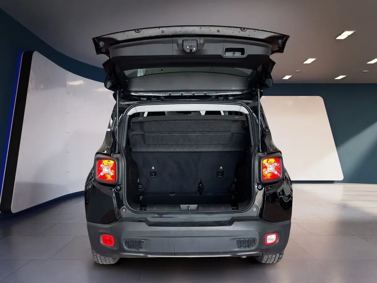 Jeep Renegade usata a Torino (8)