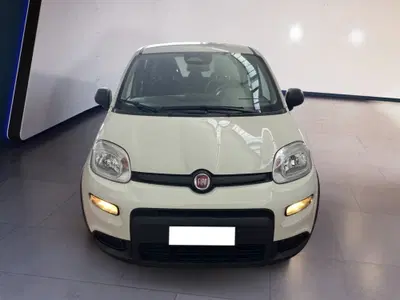 Fiat Panda Cross Cross 1.0 FireFly S&S Hybrid del 2025 usata a Torino