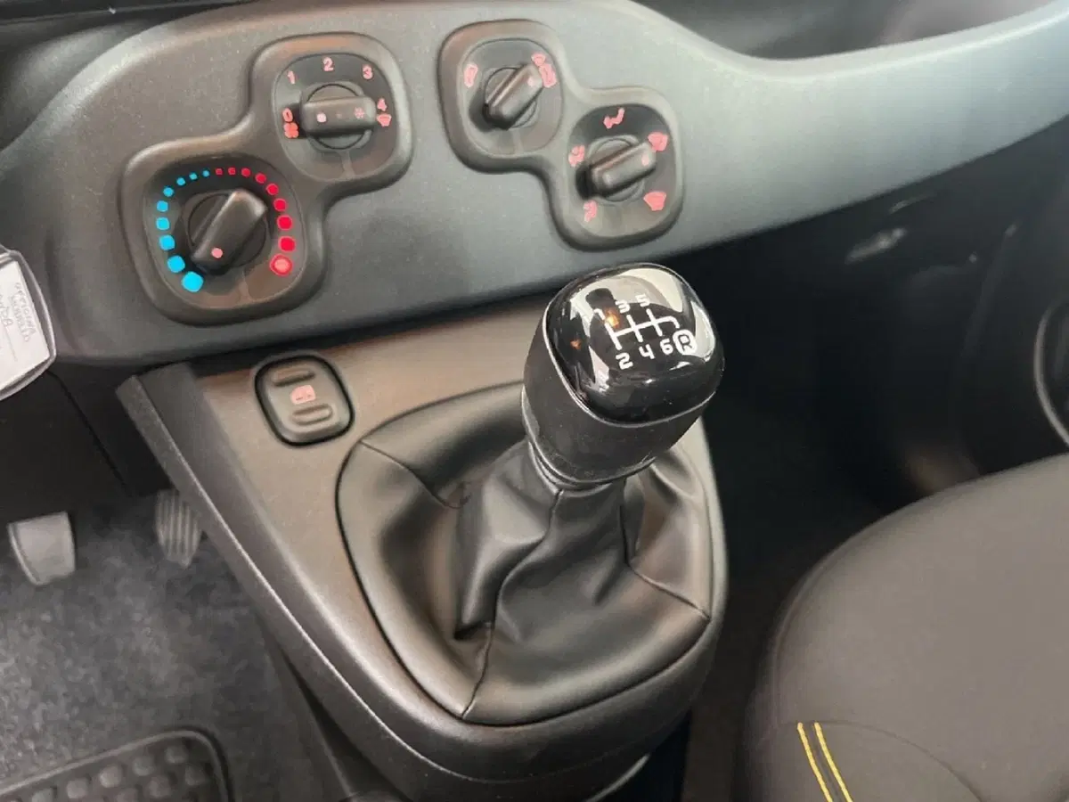 Fiat Panda Cross usata a Torino (12)