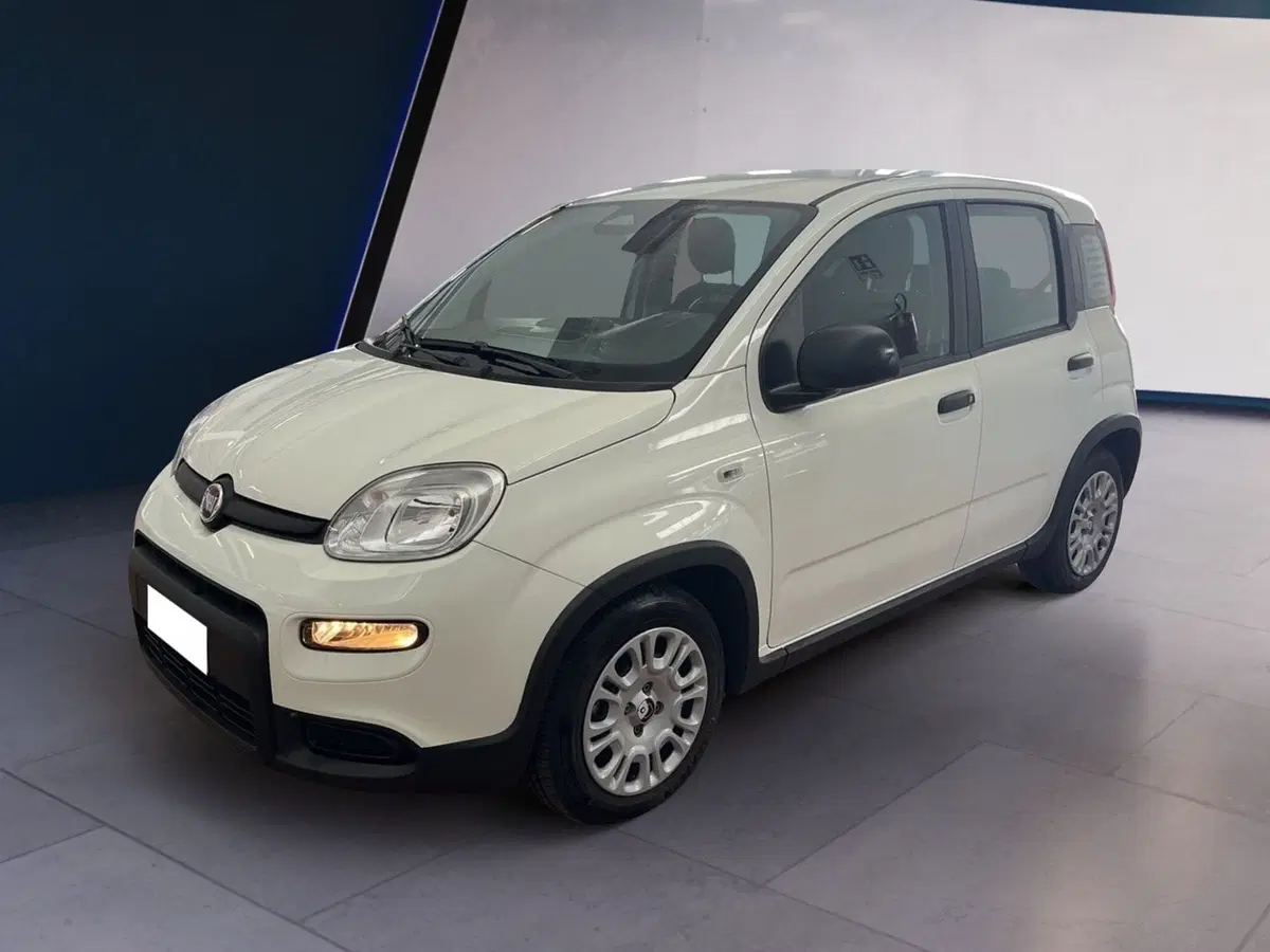 Fiat Panda Cross usata a Torino (2)