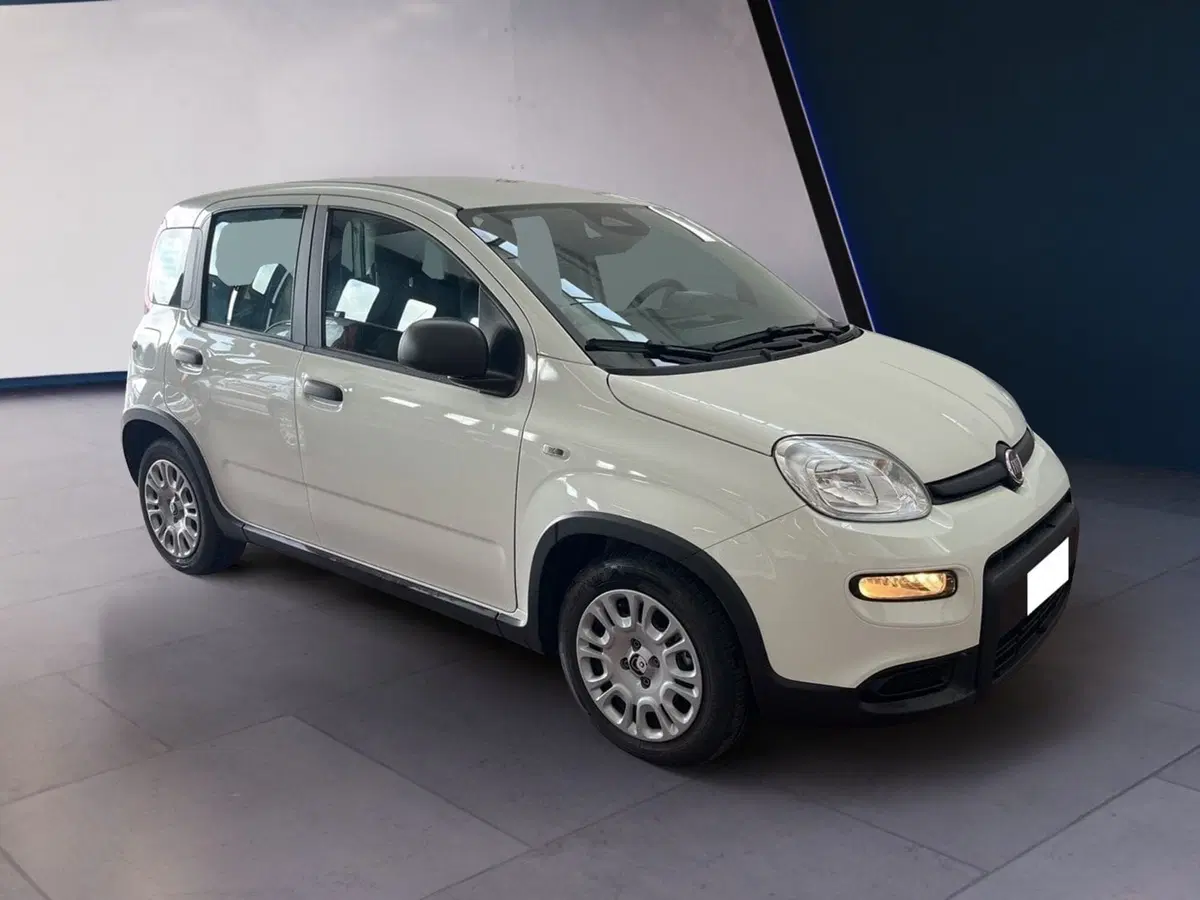 Fiat Panda Cross usata a Torino (3)