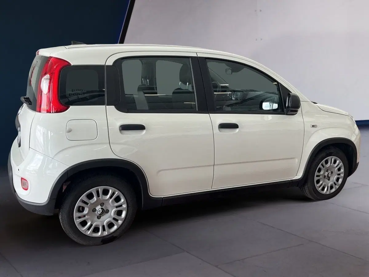 Fiat Panda Cross usata a Torino (4)