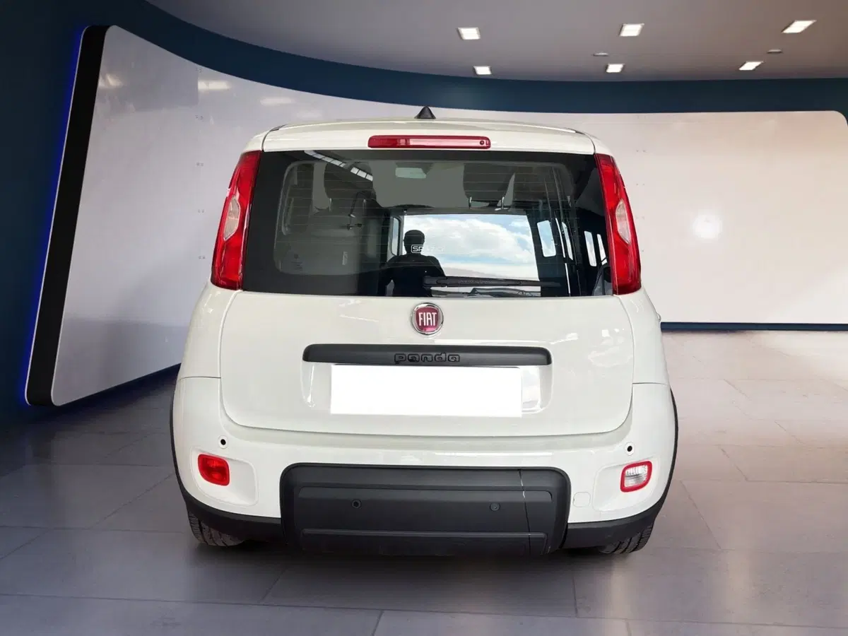 Fiat Panda Cross usata a Torino (5)