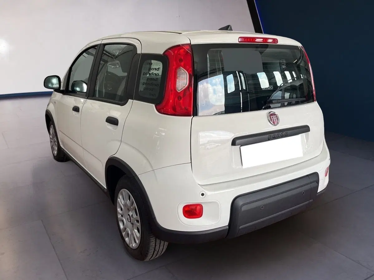 Fiat Panda Cross usata a Torino (6)