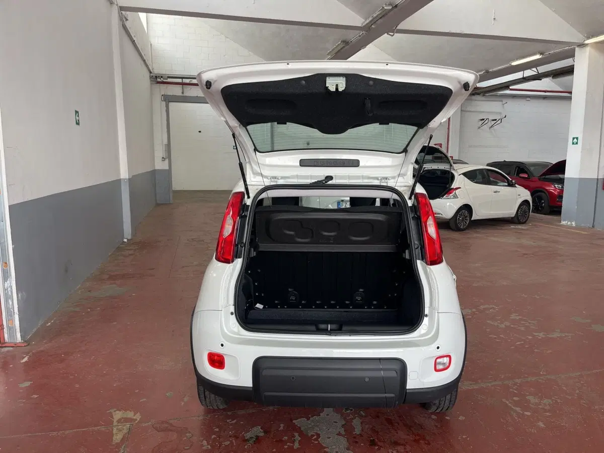 Fiat Panda Cross usata a Torino (7)
