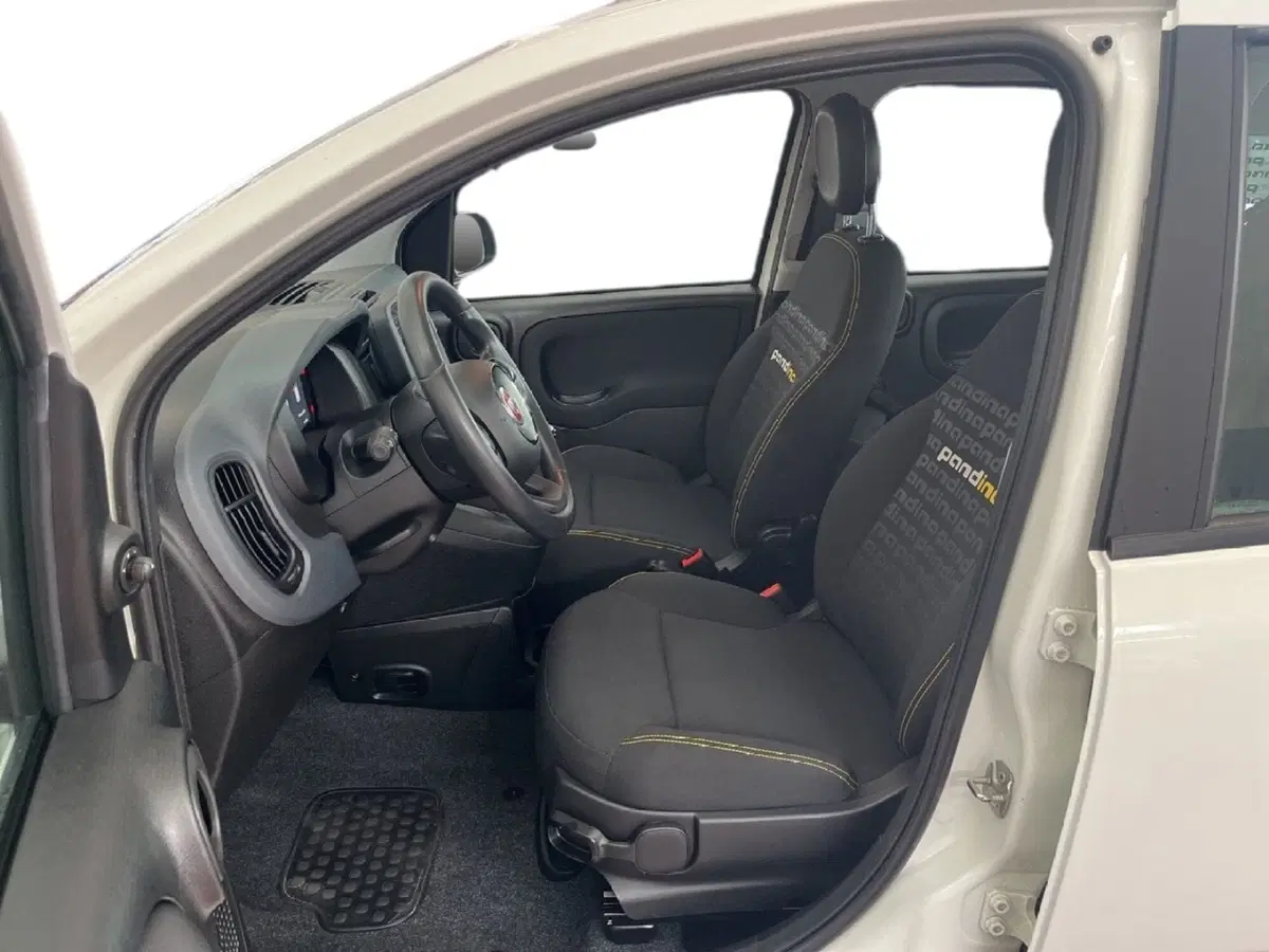 Fiat Panda Cross usata a Torino (9)