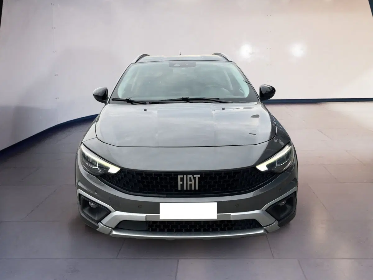 Fiat Tipo usata a Torino