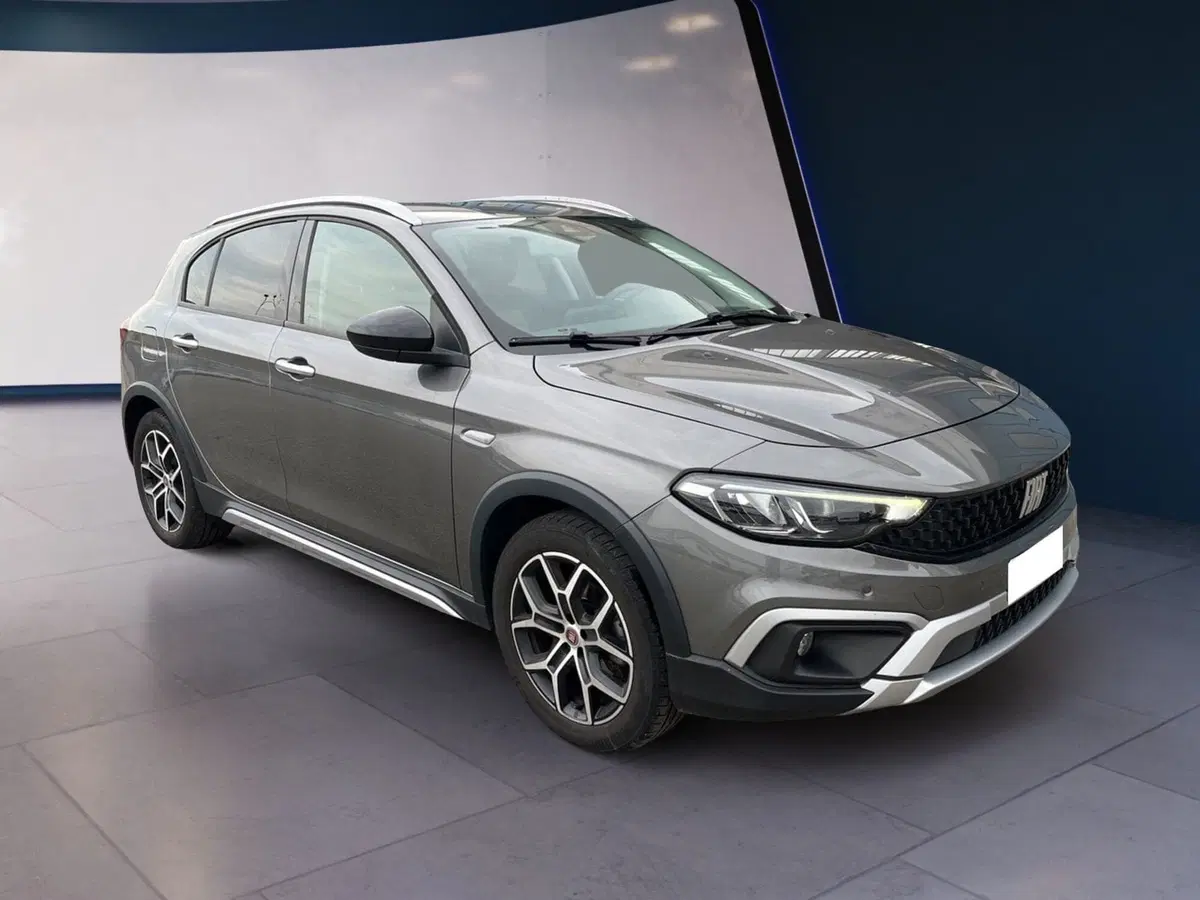Fiat Tipo usata a Torino (2)