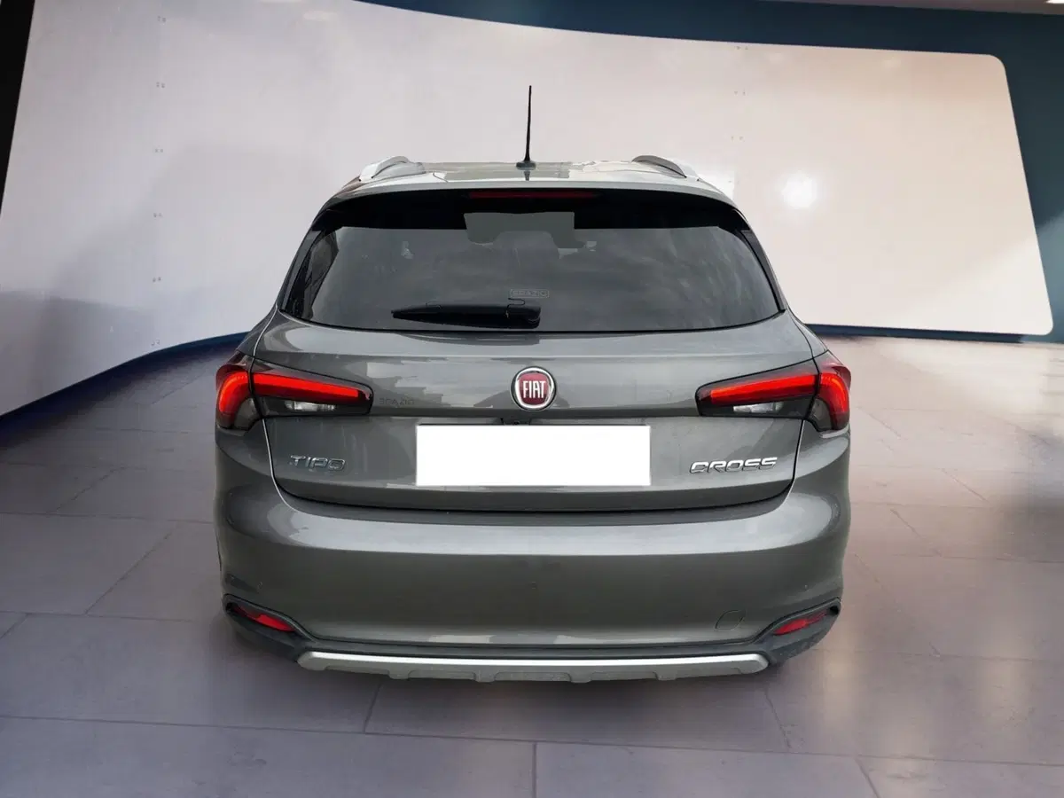Fiat Tipo usata a Torino (5)