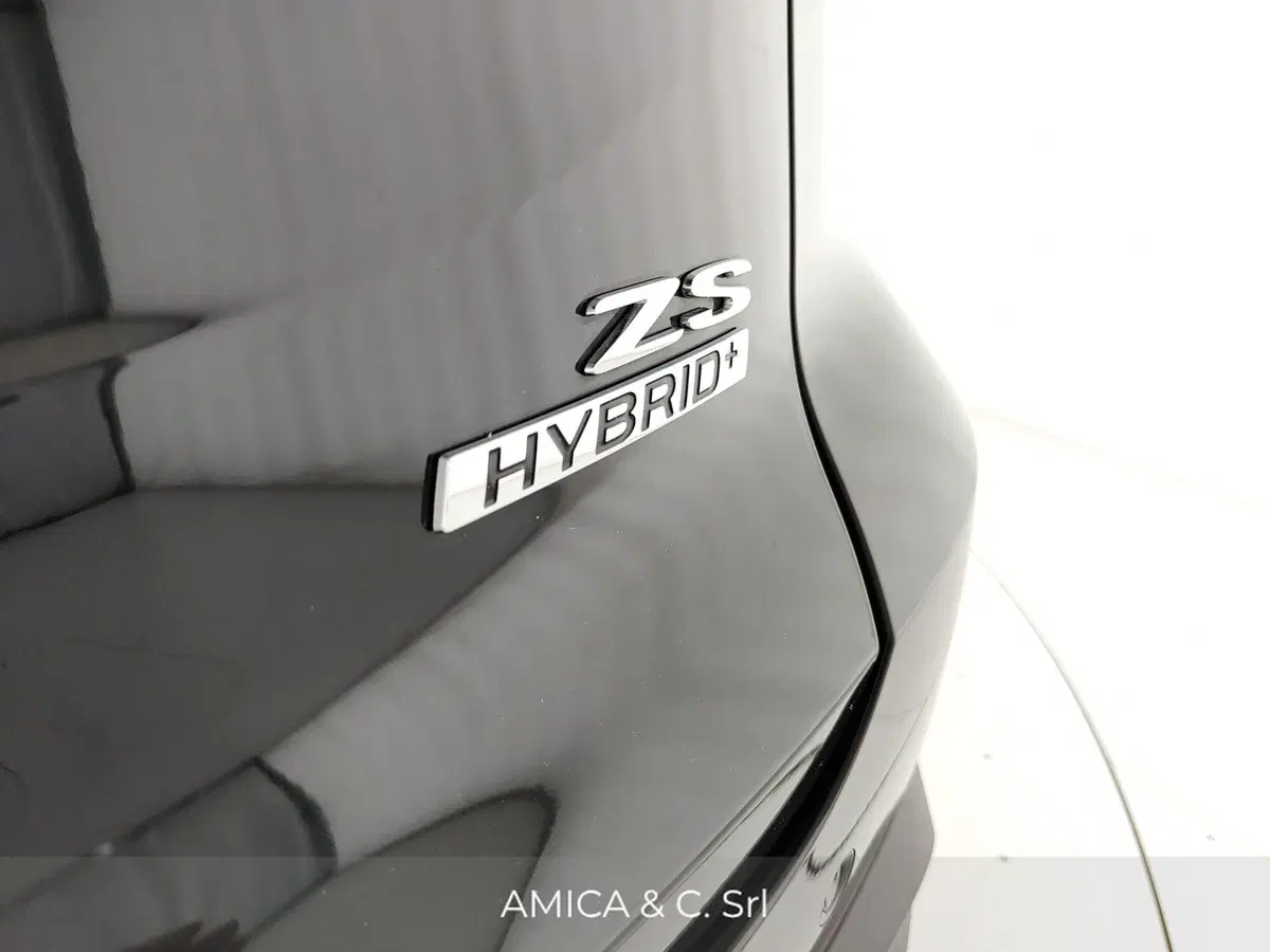 Mg ZS EV usata a Caserta (11)