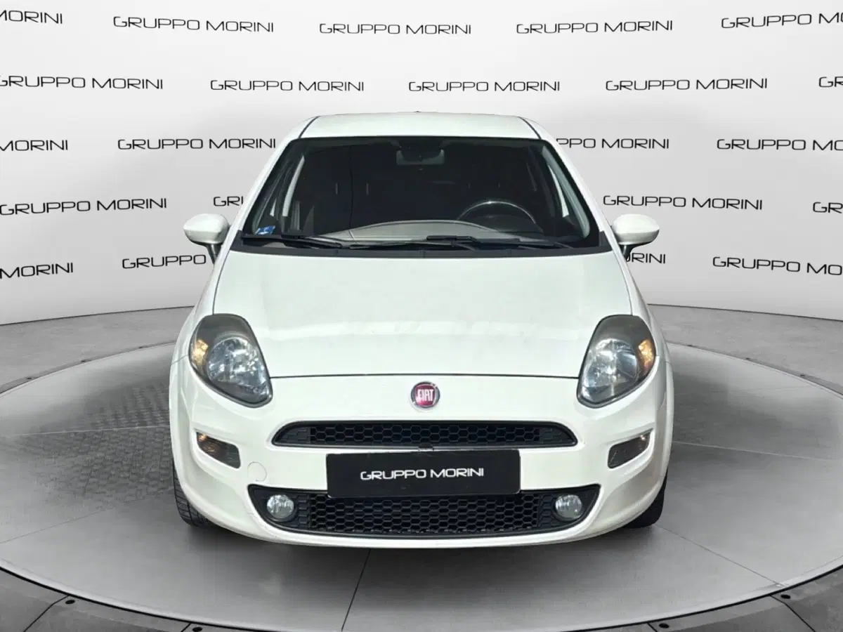 Fiat Punto usata a Bologna