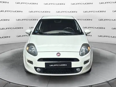Fiat Punto 1.3 MJT II 75 CV 3 porte Lounge del 2014 usata a San Lazzaro di Savena