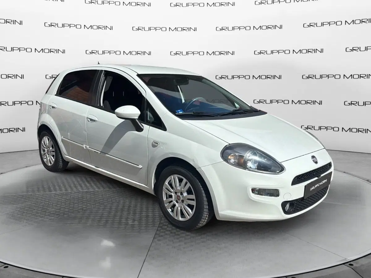 Fiat Punto usata a Bologna (2)