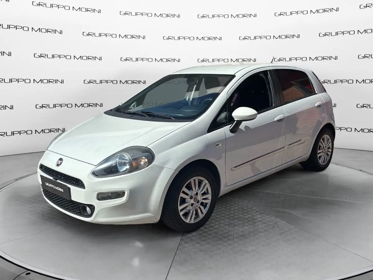 Fiat Punto usata a Bologna (3)