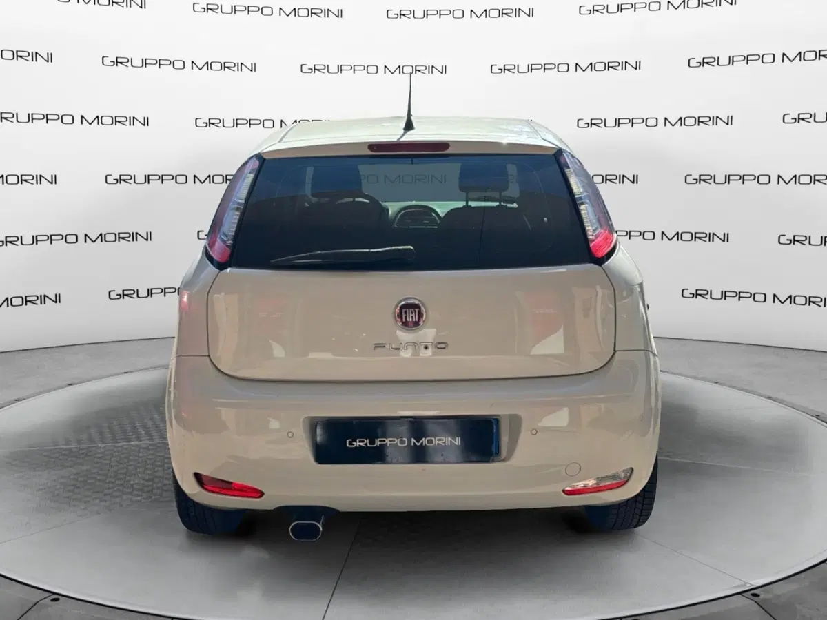 Fiat Punto usata a Bologna (4)