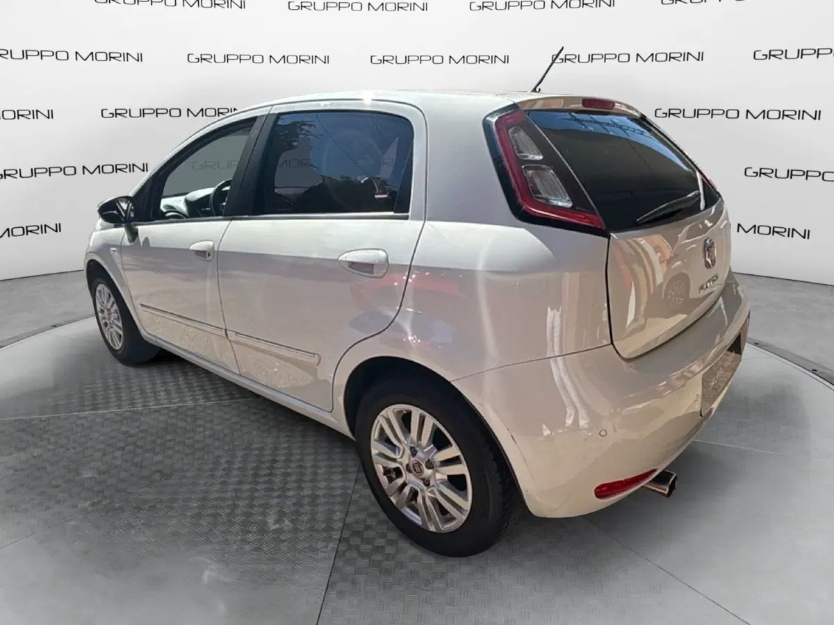 Fiat Punto usata a Bologna (5)