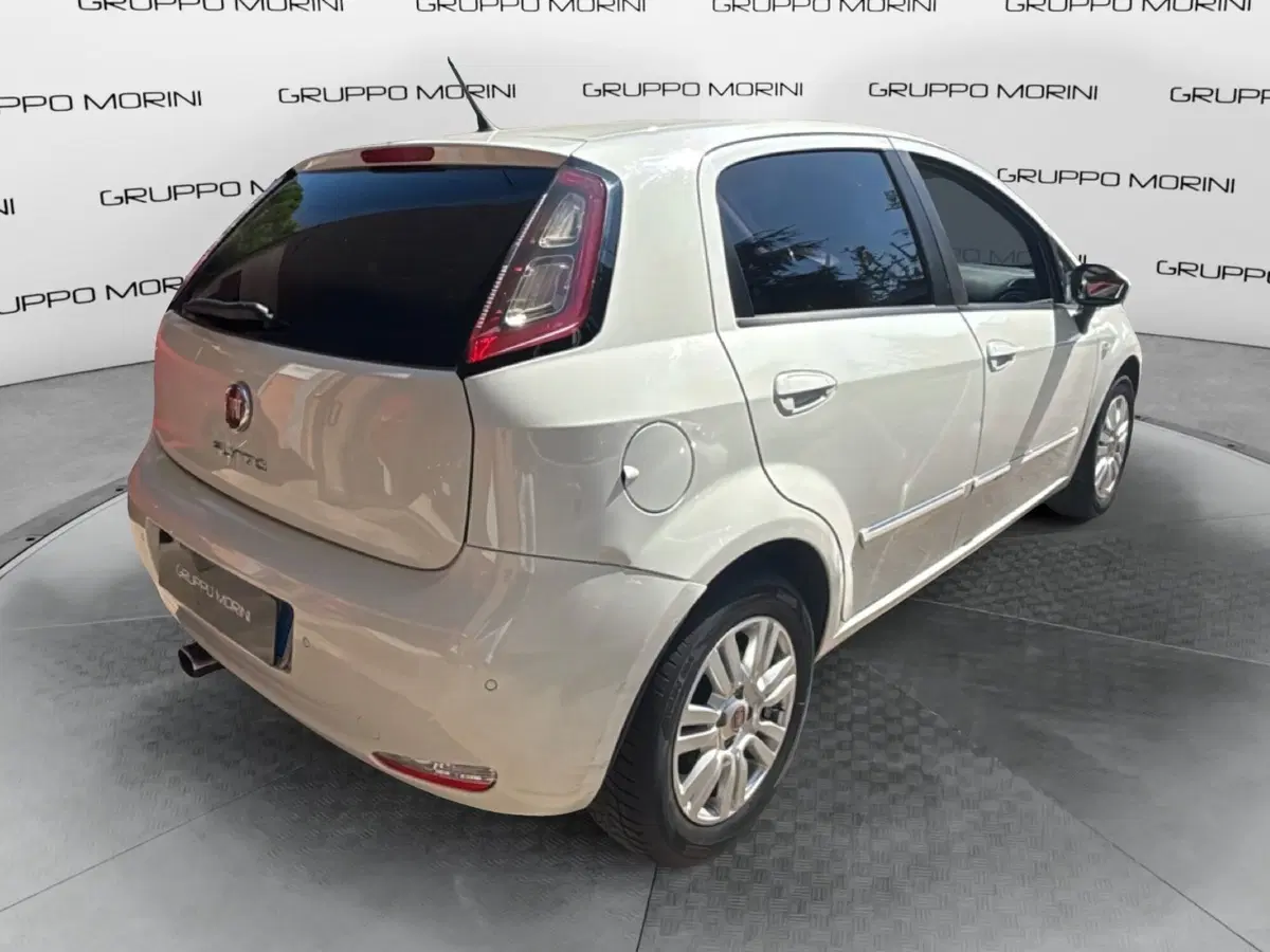 Fiat Punto usata a Bologna (6)