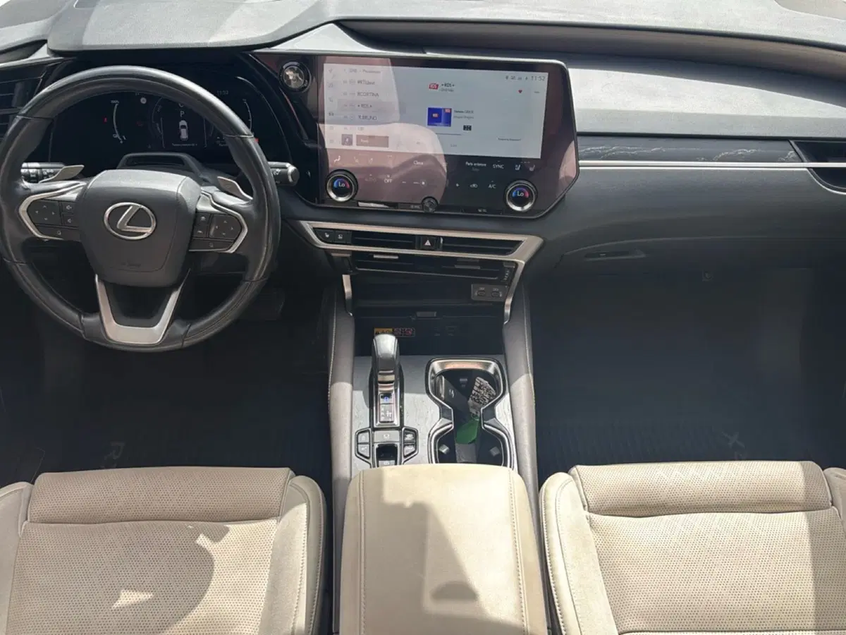 Lexus RX usata a Bologna (10)