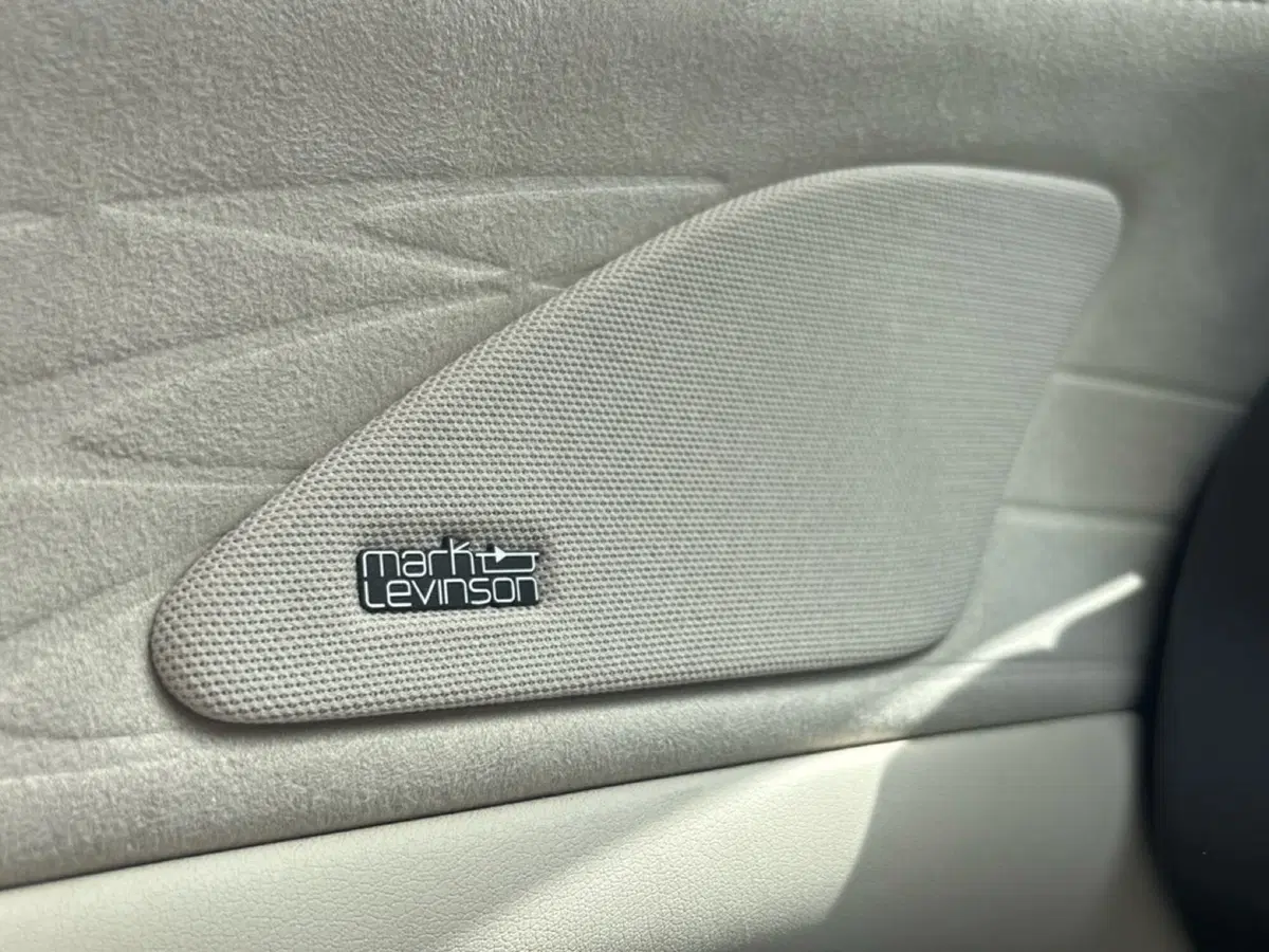 Lexus RX usata a Bologna (13)