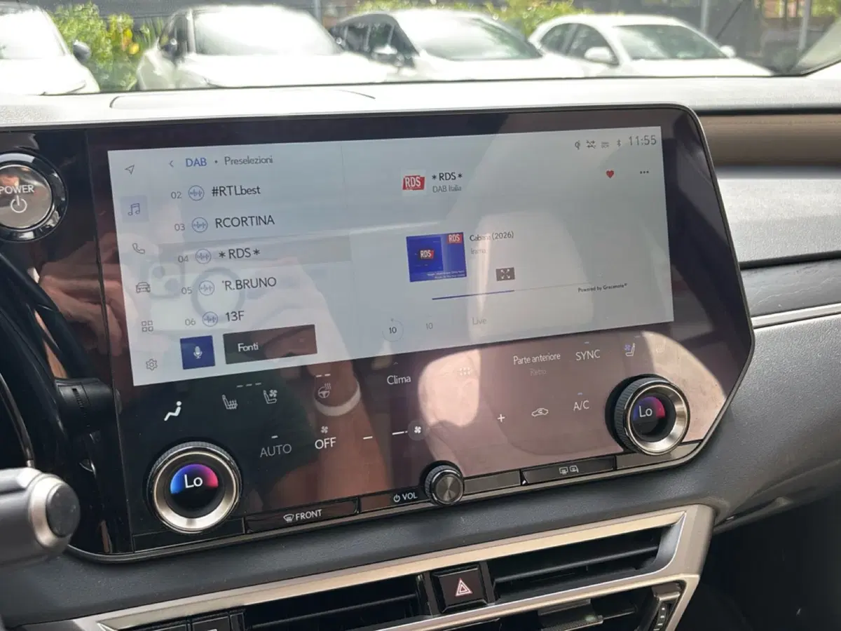 Lexus RX usata a Bologna (18)
