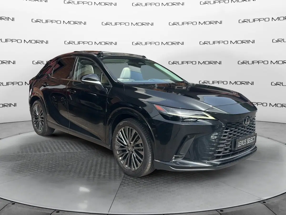 Lexus RX usata a Bologna (2)
