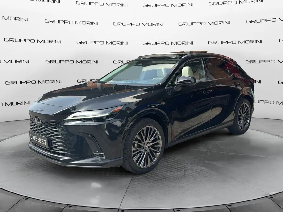 Lexus RX usata a Bologna (3)
