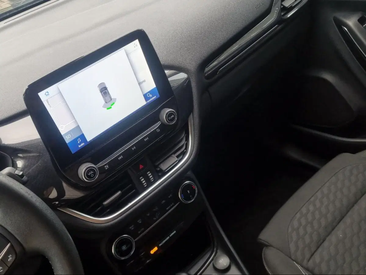Ford Puma usata a Pisa (14)