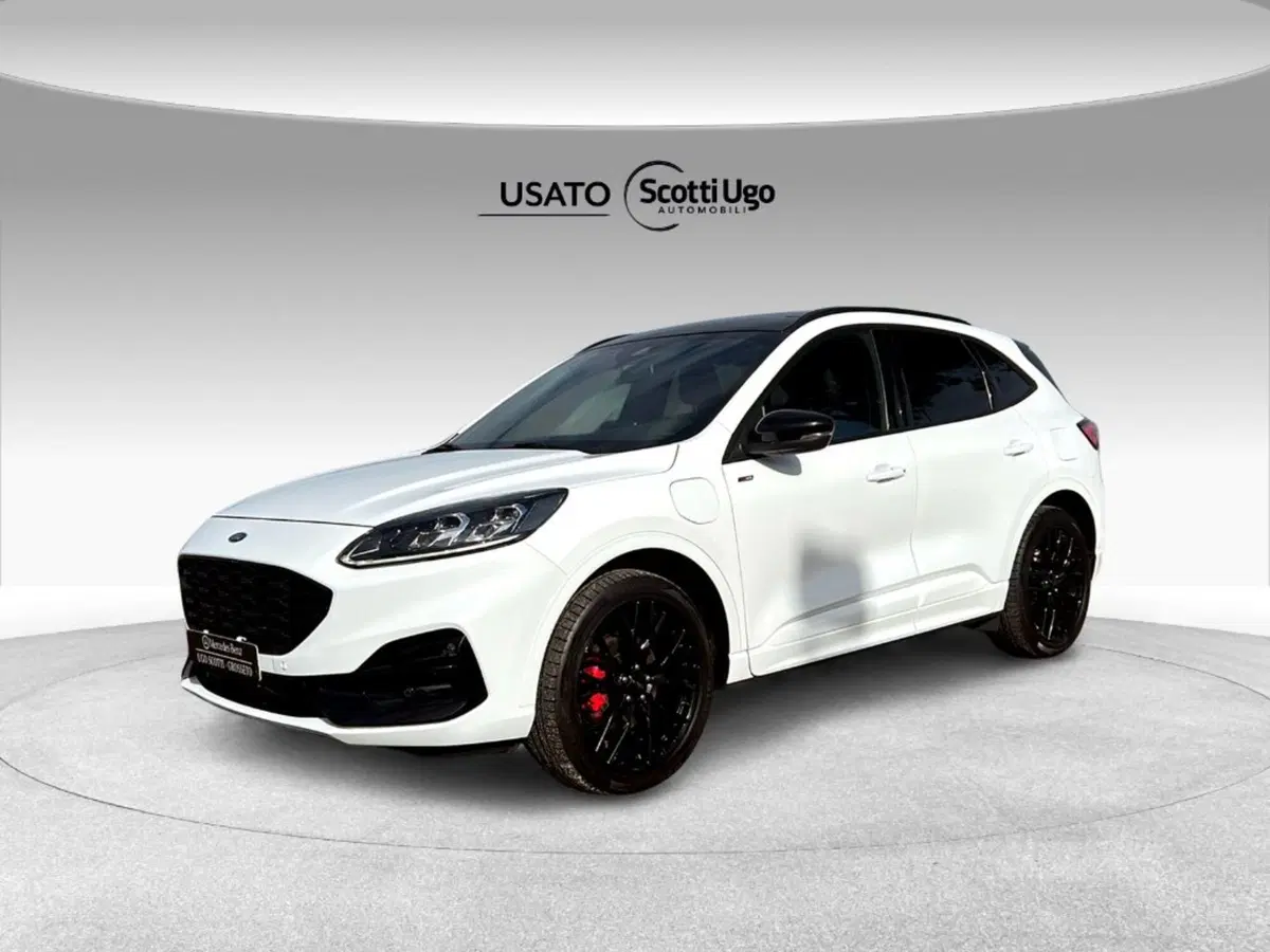 Ford Kuga usata a Pisa