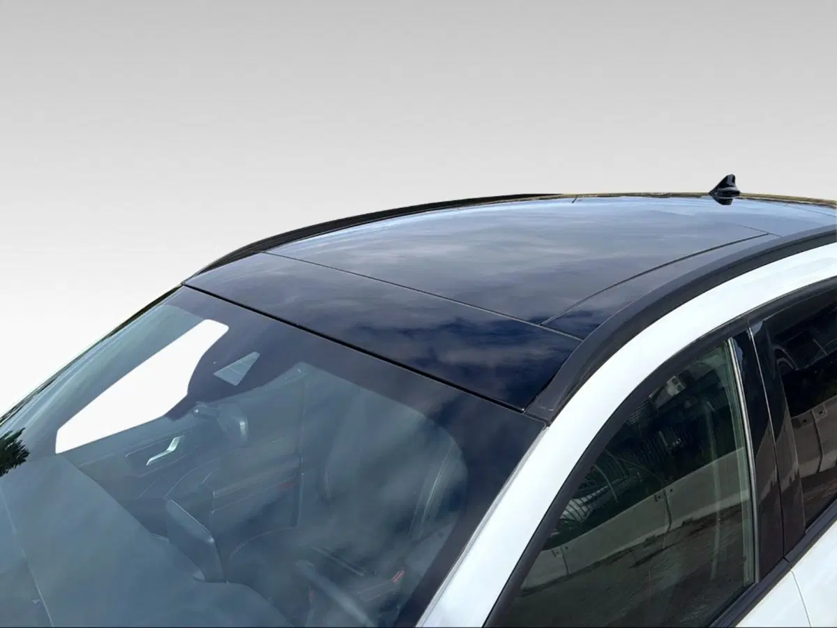 Ford Kuga usata a Pisa (18)