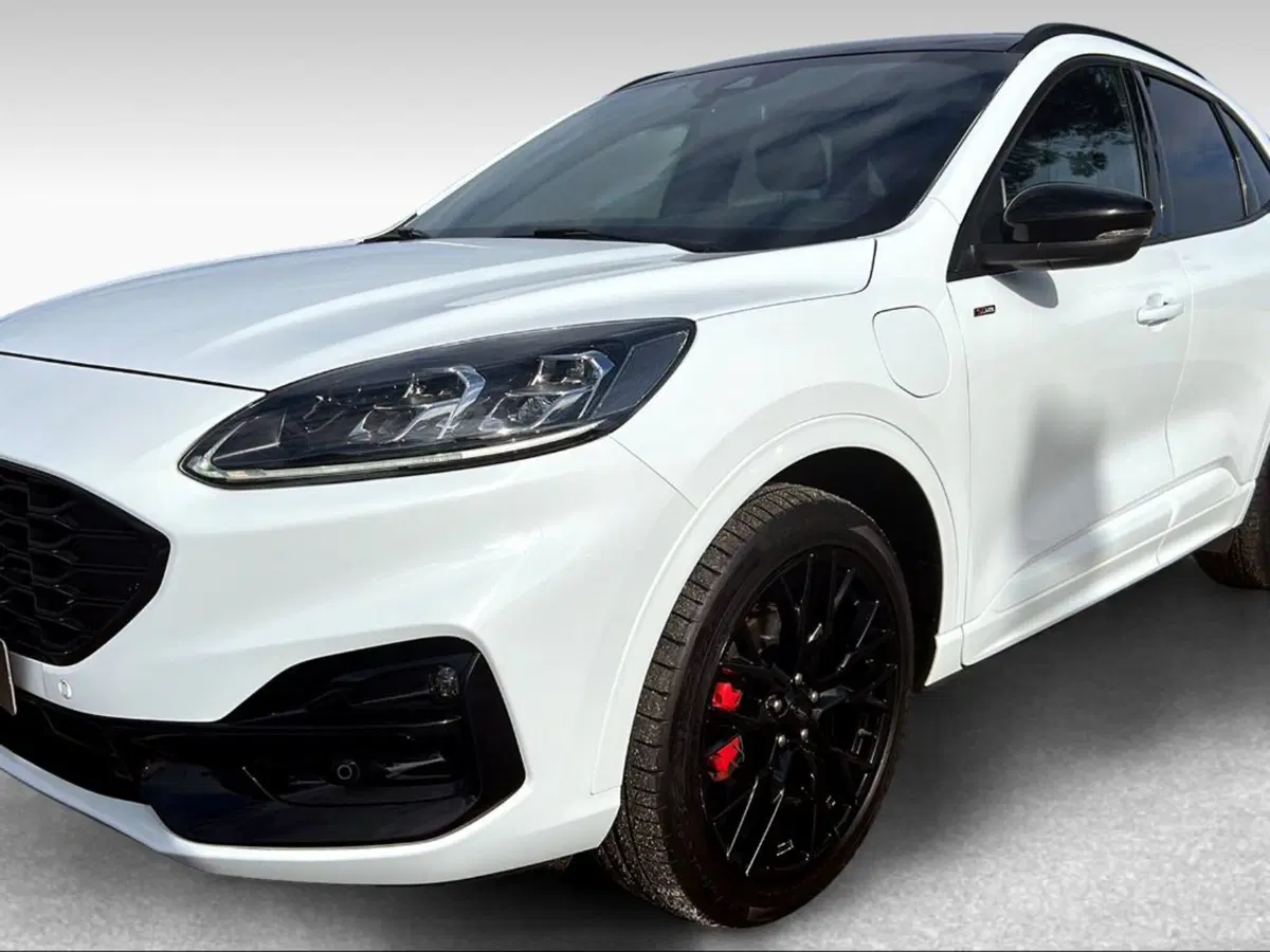 Ford Kuga usata a Pisa (2)