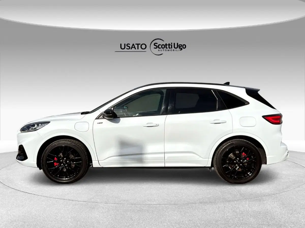 Ford Kuga usata a Pisa (5)