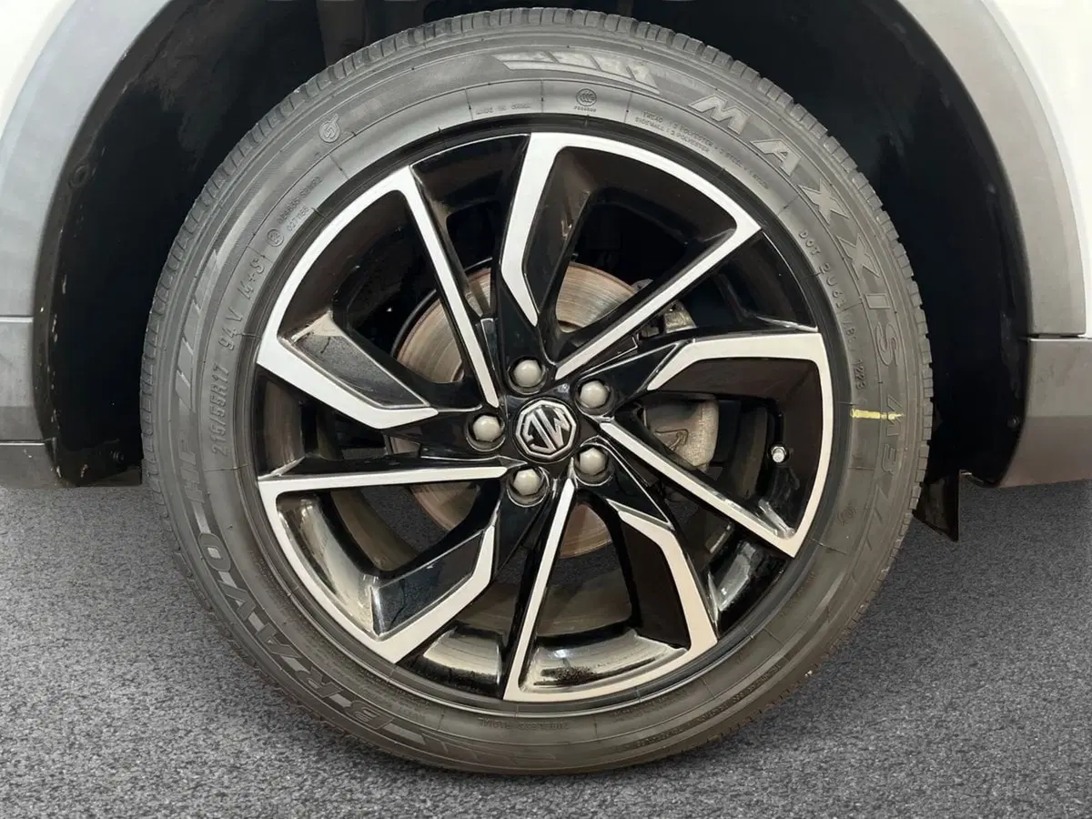 Mg ZS usata a Bari (6)
