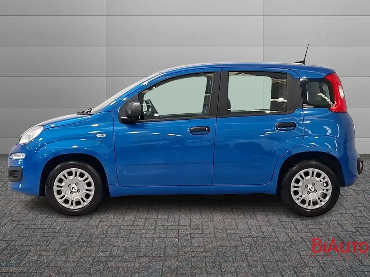 Fiat Panda usata a Firenze (2)