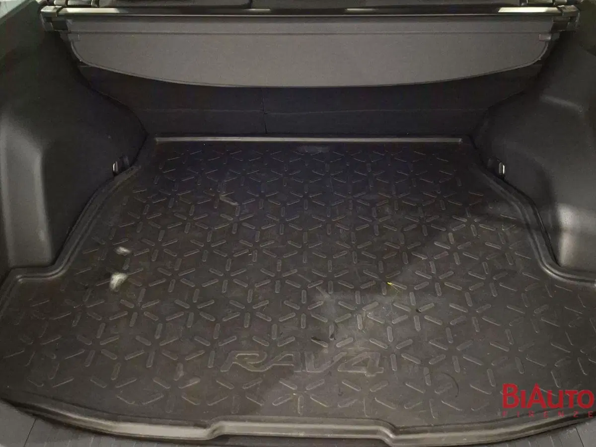 Toyota Rav4 usata a Firenze (6)