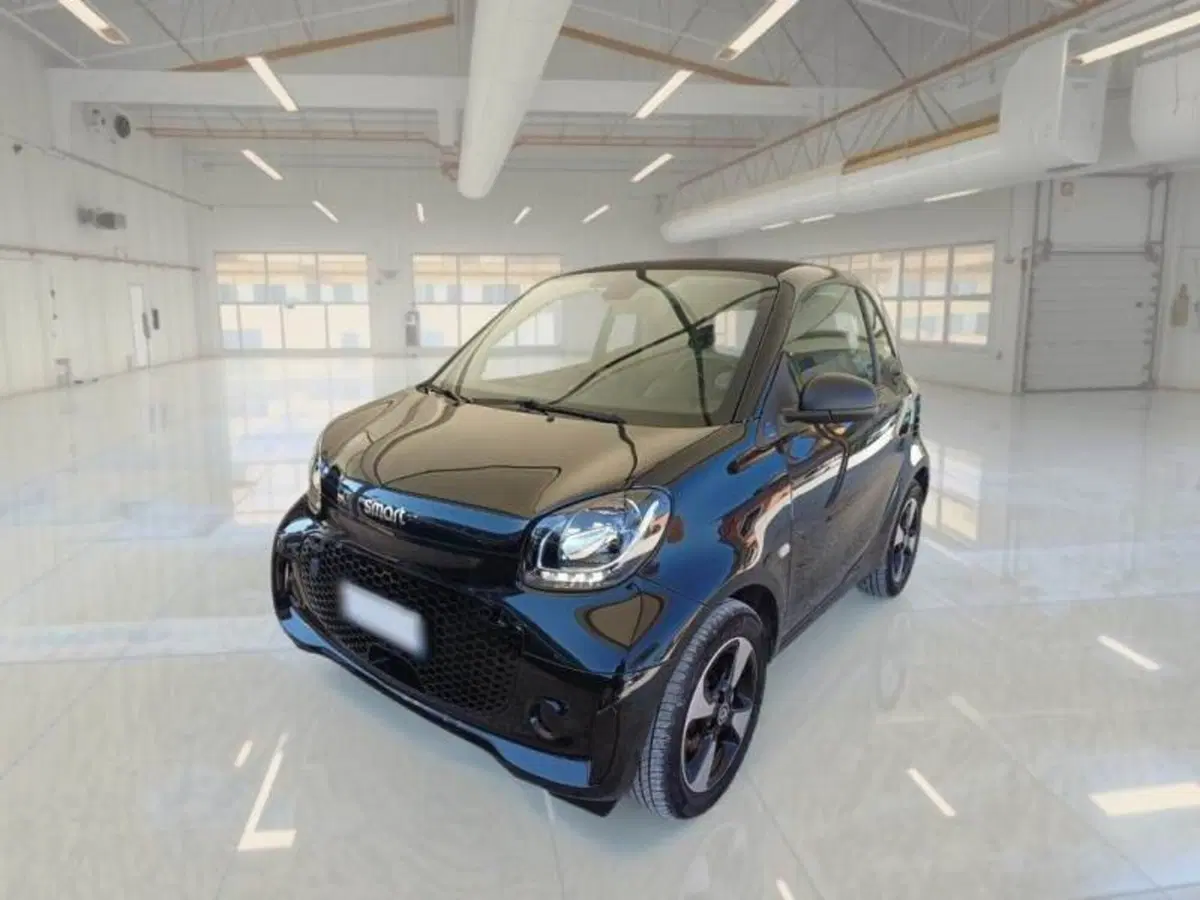 smart Fortwo usata a Macerata (2)