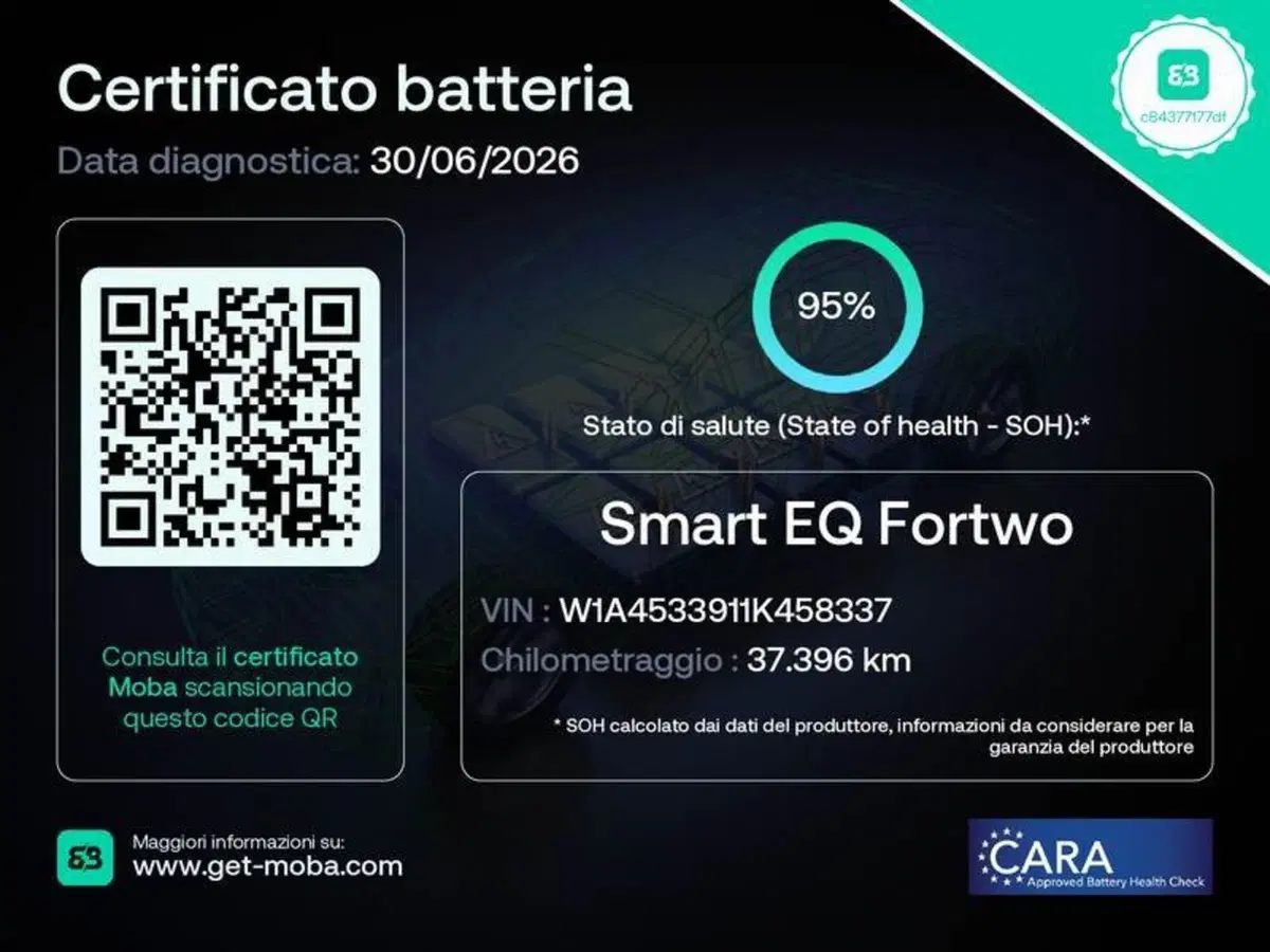 smart Fortwo usata a Macerata (9)