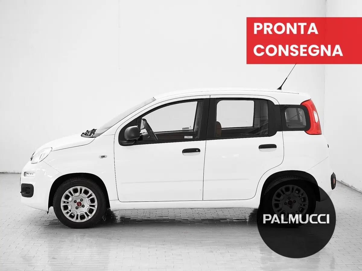 Fiat Panda usata a Prato (5)