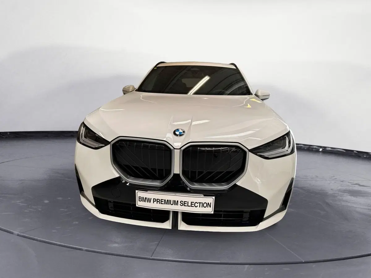 BMW X3 nuova a Cuneo (3)