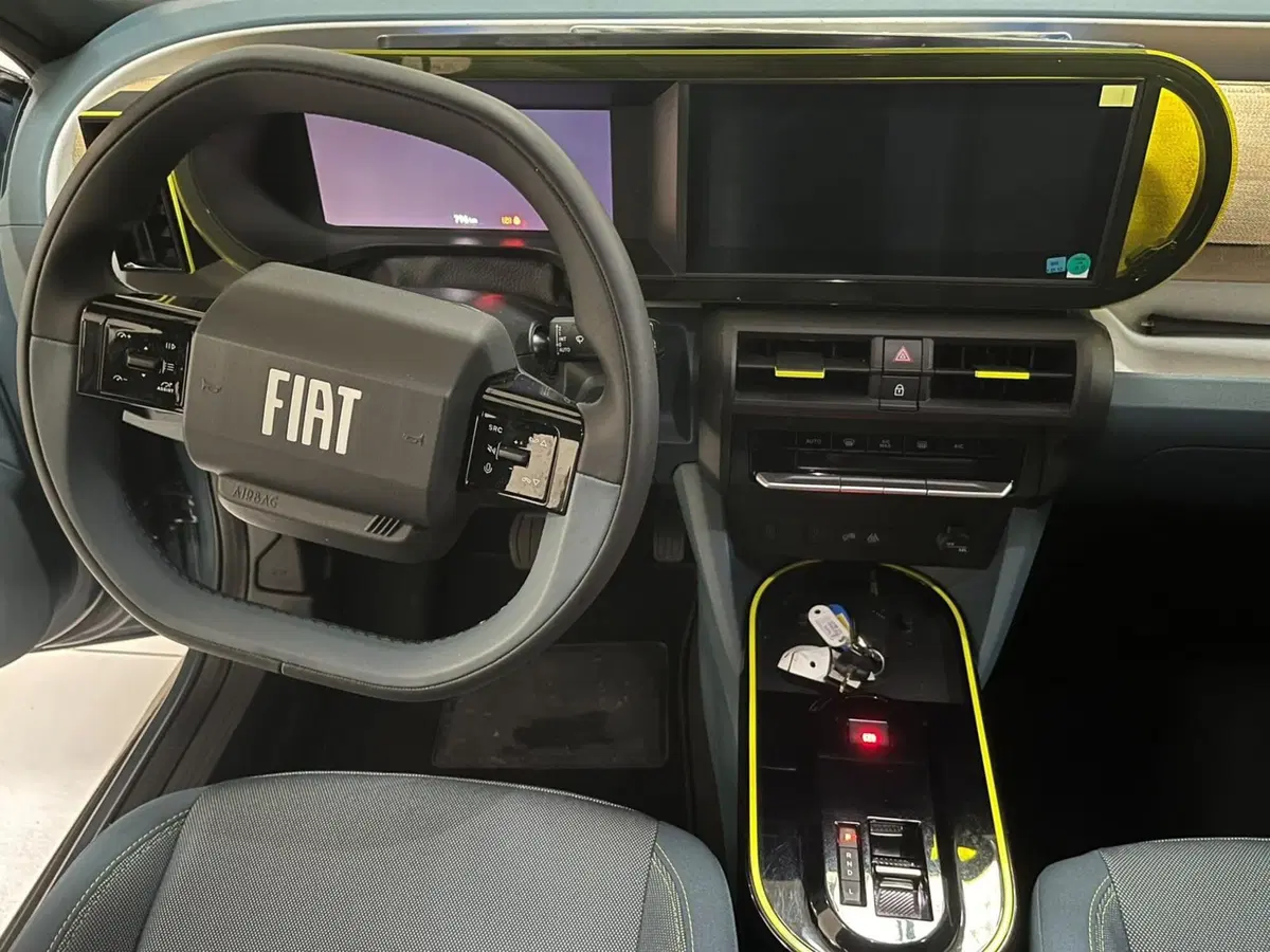 Fiat Grande Panda usata a Lucca (11)