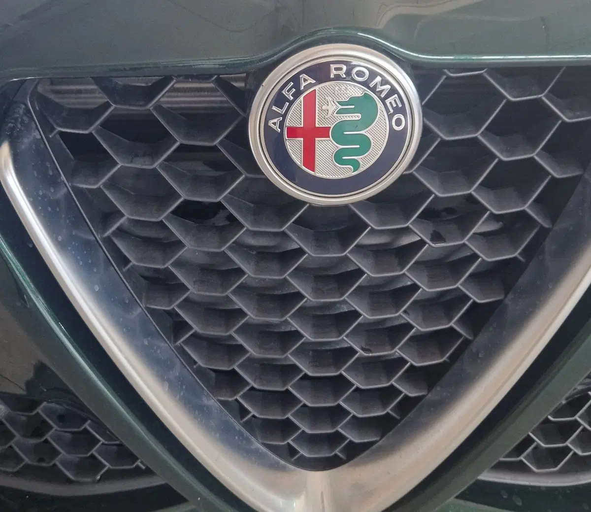 Alfa Romeo Giulia usata a Terni (19)