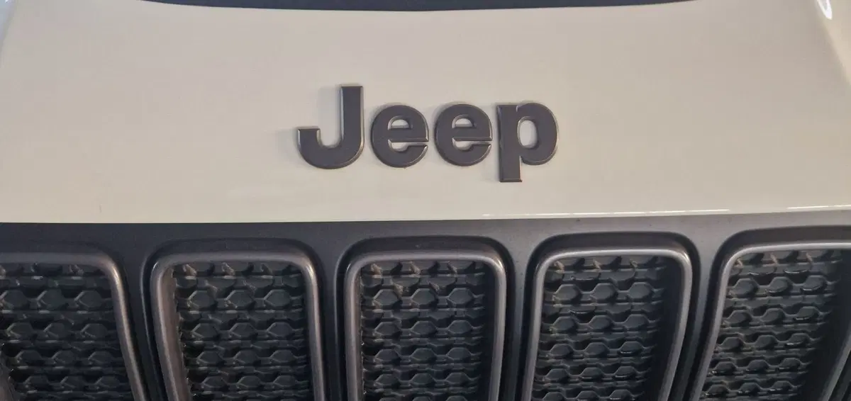 Jeep Renegade usata a Terni (20)