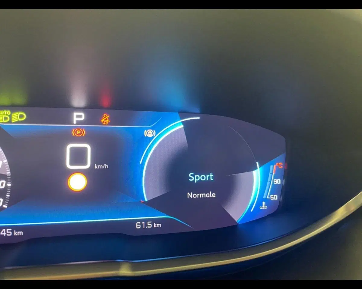 Peugeot 3008 usata a Alessandria (14)