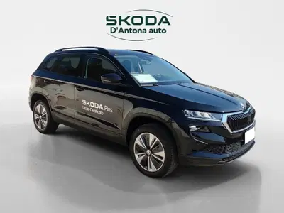 Skoda Karoq 2.0 TDI EVO SCR 115 CV DSG Executive del 2023 usata a Taranto